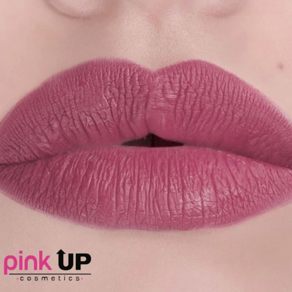 Labial Ultimate Blush. Pink Up